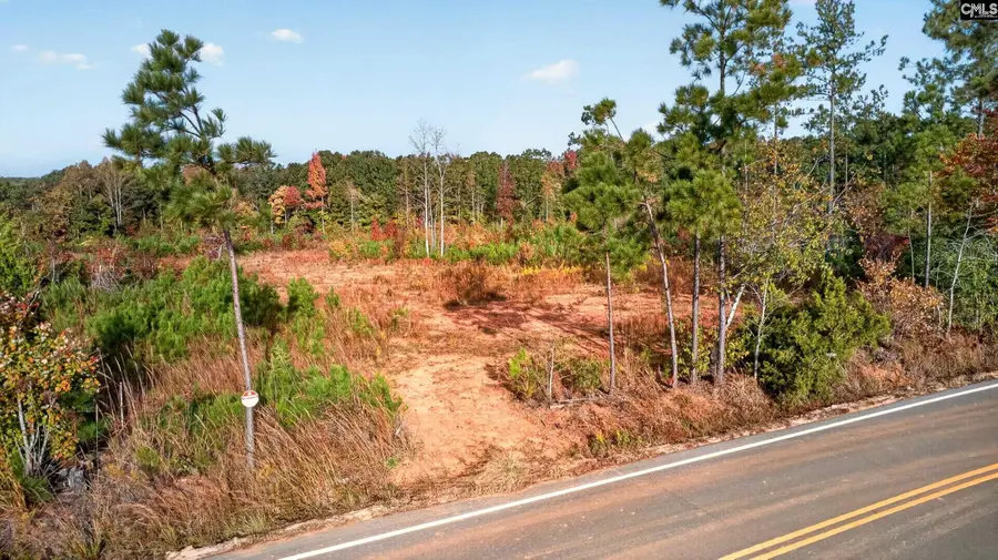 027 Peake Road, Elgin, SC 29045 - #3