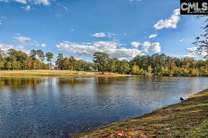 17 Beaver Lake Court, Elgin, SC 29045 - #3
