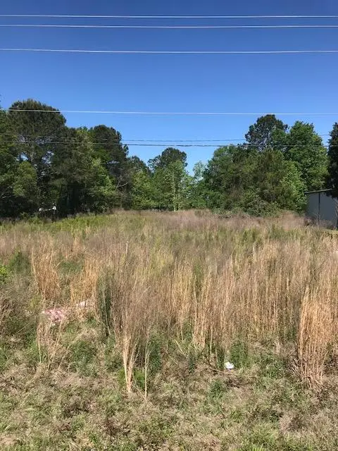 0 Hwy 17 South, Ravenel, SC 29470 - #3