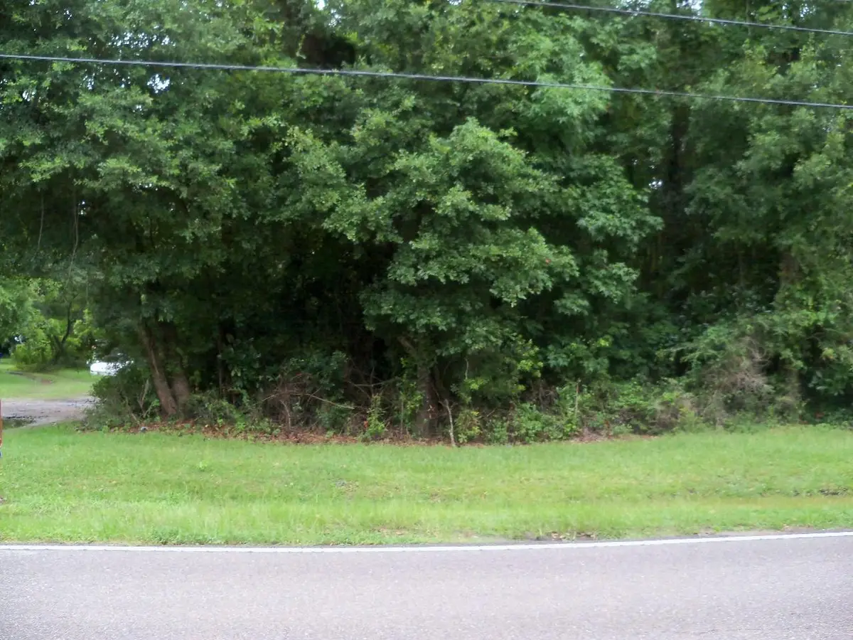 0 Grimball Rd, Charleston, SC 29412 - Image #1