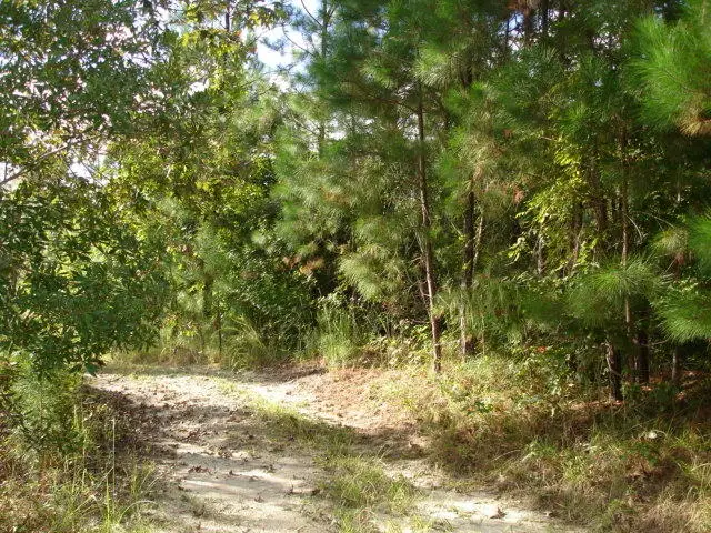 6 Parkers Ferry Rd, Adams Run, SC 29426 - #1
