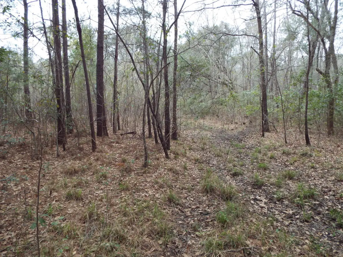 143 Dixon, Cordesville, SC 29434 - Image #1