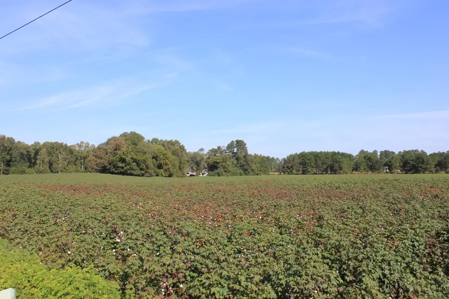 0 Old Highway 6, Santee, SC 29142 - #2