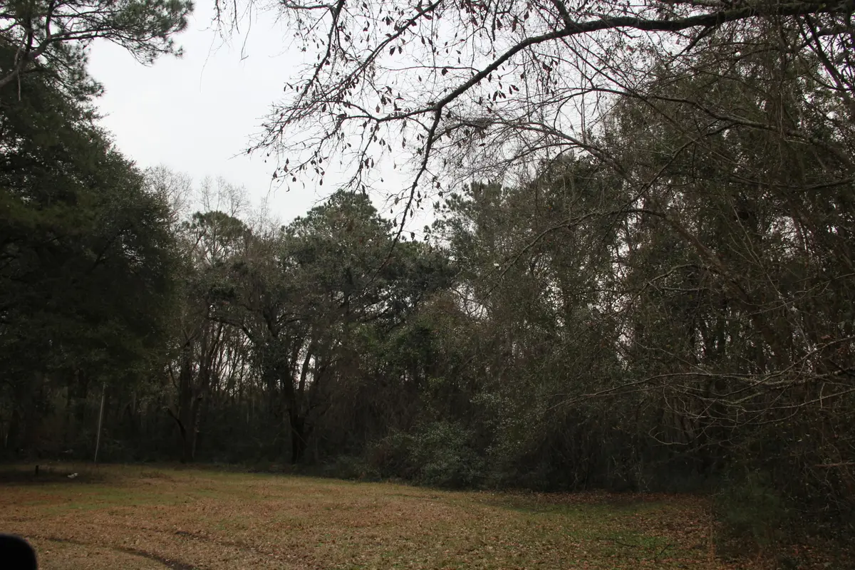 0 Lieben Rd., Mount Pleasant, SC 29466 - #1