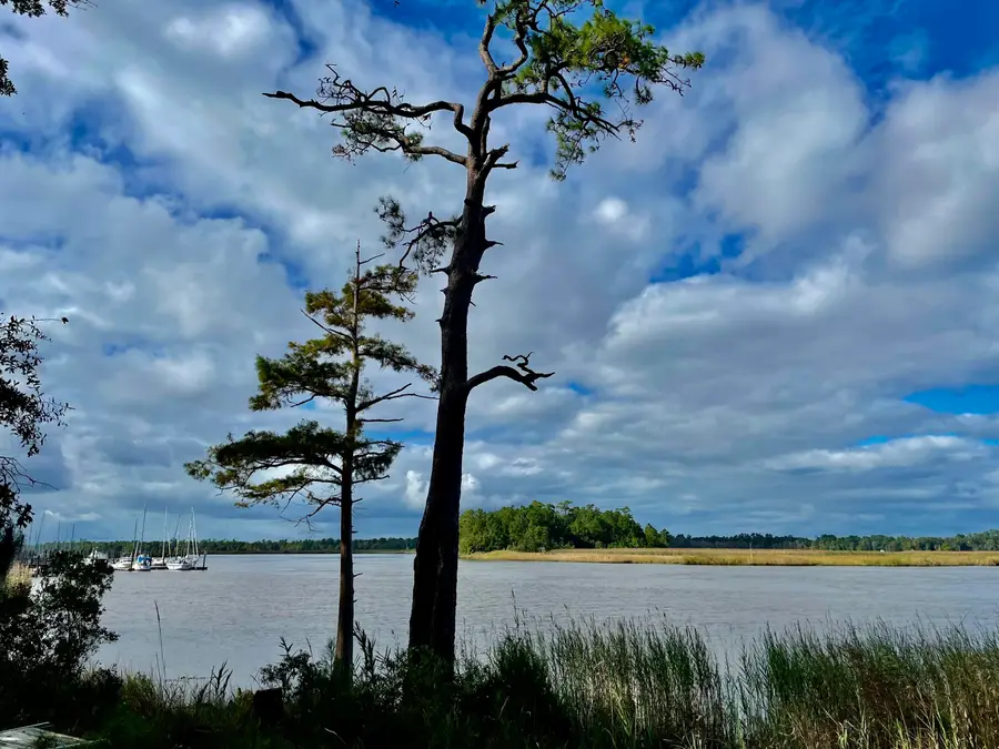 304 County Rd S-22-853, Georgetown, SC 29440 - #2