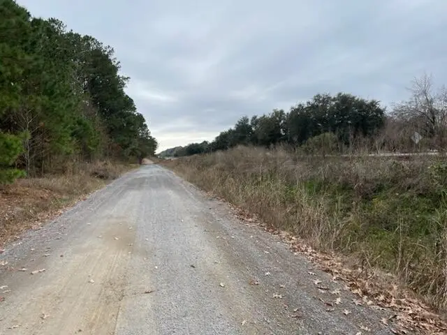 Lot 23 Dennis Drive, Goose Creek, SC 29445 - Image #2