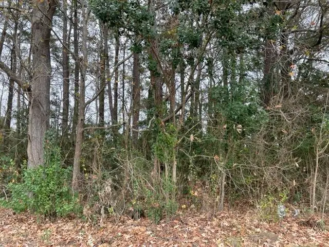 Lot 24 Dennis Drive, Goose Creek, SC 29445 - Image #3