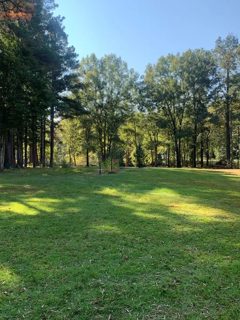 Lot #18/19 Haynesworth Mill Circle, Summerton, SC 29148 - Image #2