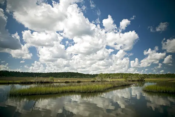 3989 Bulow Landing Road, Ravenel, SC 29470