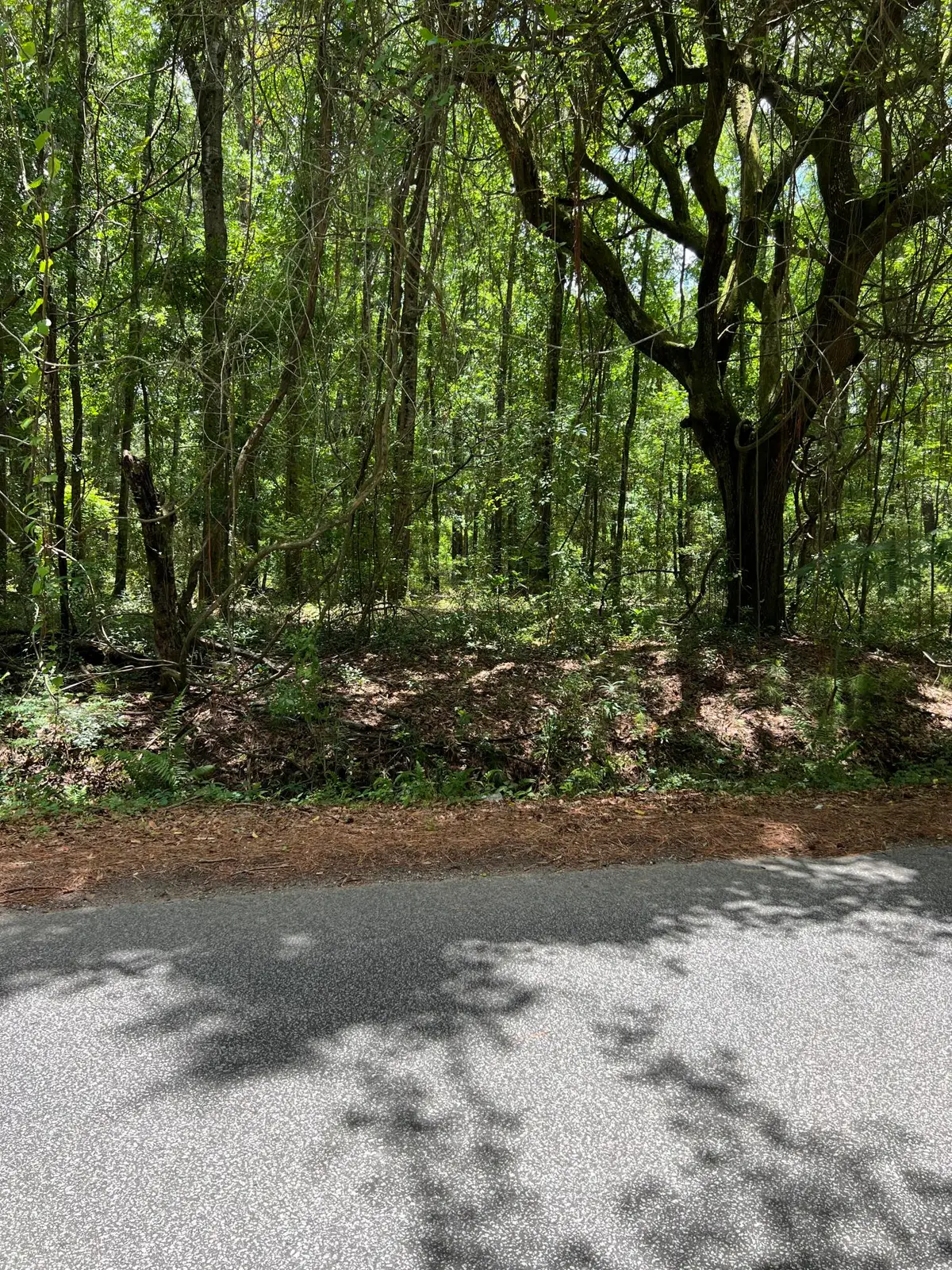 00 Cane Slash Road, Charleston, SC 29401 - #1