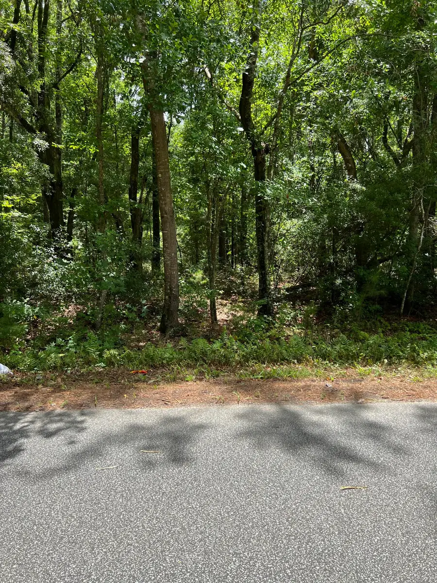 00 Cane Slash Road, Charleston, SC 29401 - #2