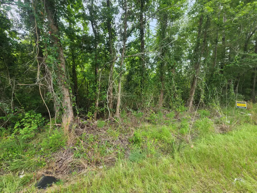 1 Freedom Road, Branchville, SC 29432 - #3