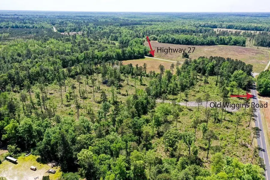 00 Old Gilliard Rd, Ridgeville, SC 29472 - #3