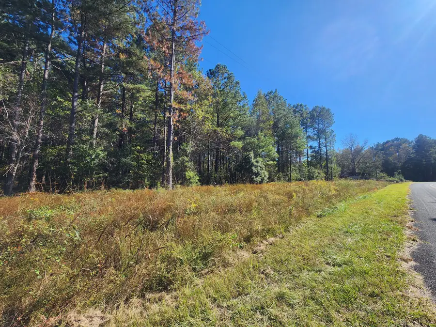 0 Ordie Road, Saint George, SC 29477 - Image #3