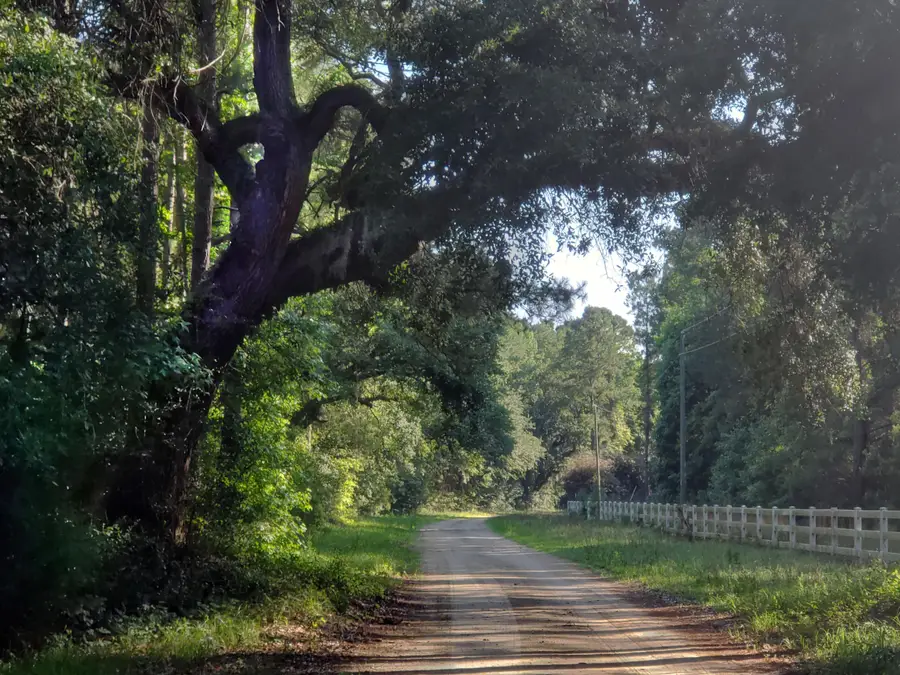 0 Placid Drive, McClellanville, SC 29458 - Image #2