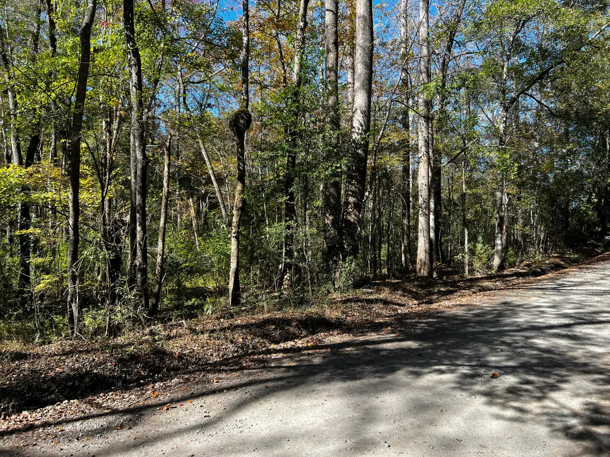 0 Branch Road, Moncks Corner, SC 29461 - Image #1