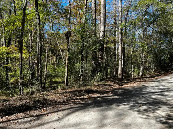 0 Branch Road, Moncks Corner, SC 29461