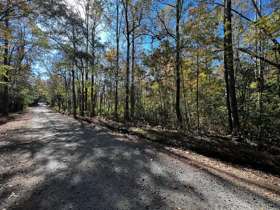 0 Branch Road, Moncks Corner, SC 29461 - Image #2
