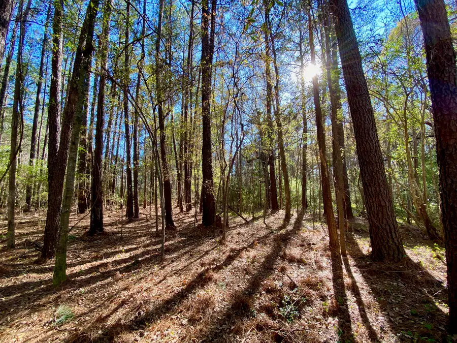 0000 Winter Street, Moncks Corner, SC 29461 - Image #2