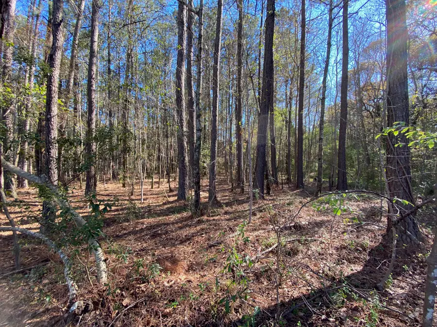 0000 Winter Street, Moncks Corner, SC 29461 - Image #3