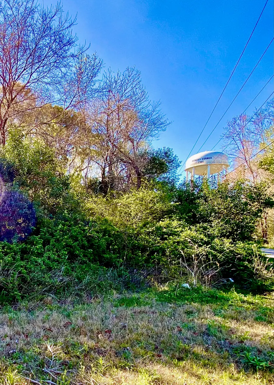 301 S Live Oak Drive, Moncks Corner, SC 29461 - Image #3