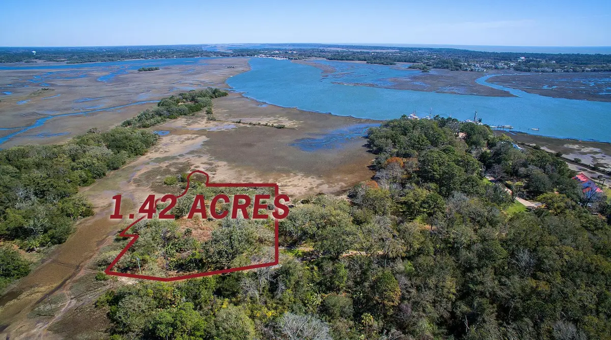 7045 Whistling Alligator Way, Wadmalaw Island, SC 29487 - Image #1