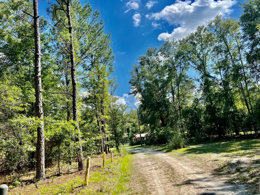 1 Evangelitst Drive, Early Branch, SC 29916 - Image #2