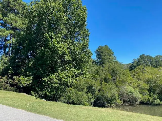 0 Chapel Creek Drive, Santee, SC 29142 - Image #2