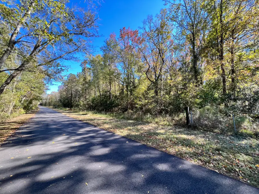 00 Shoofly Road Road, Ridgeville, SC 29472 - #3