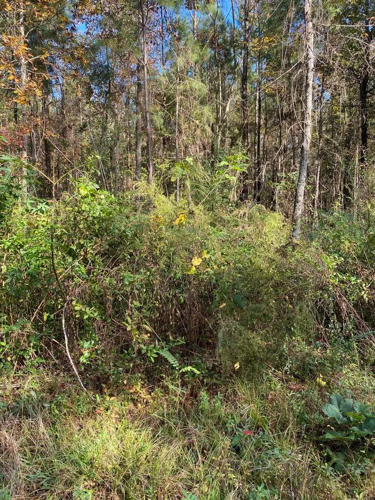 0 Lawyer Lane, Cross, SC 29436 - #3