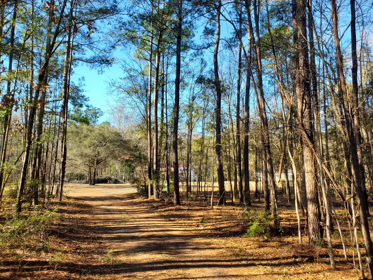 7085 Inman Road, Meggett, SC 29449 - #1