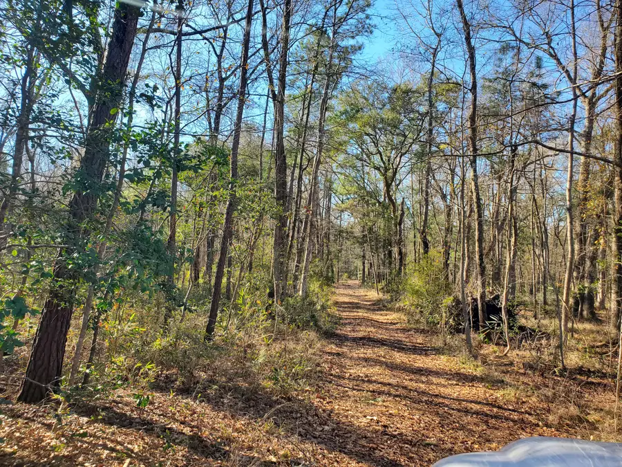 7085 Inman Road, Meggett, SC 29449 - #3
