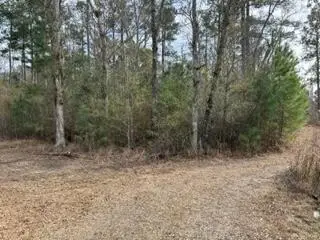0 Gallashaw Road, Summerville, SC 29483
