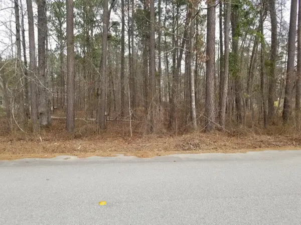 0 Sorin Circle, Elloree, SC 29047