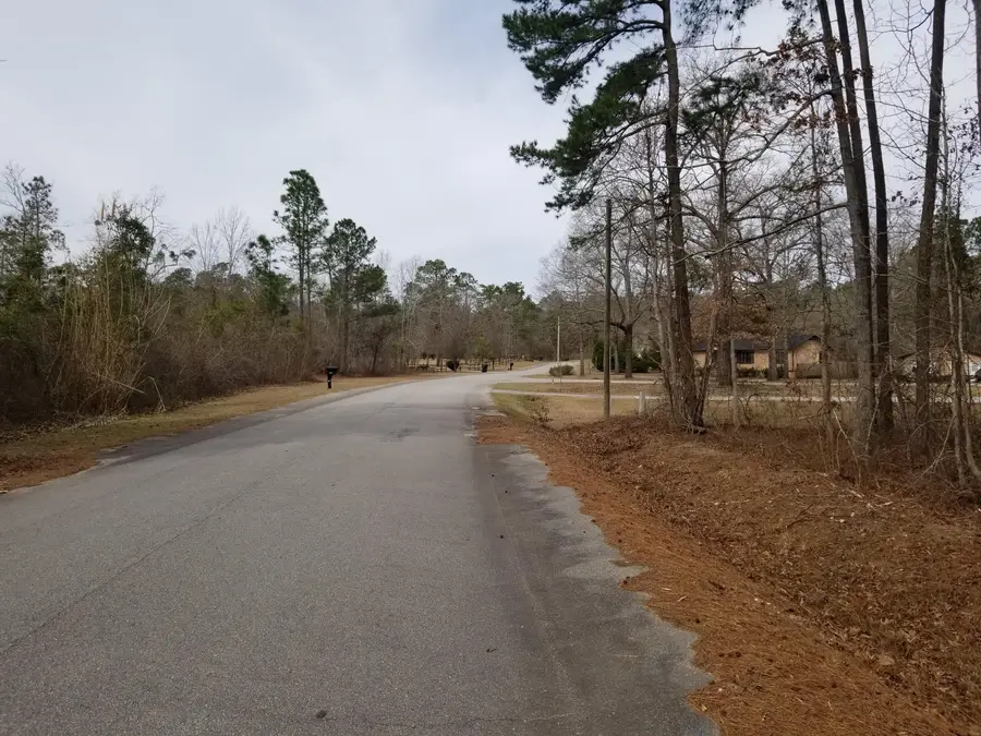 0 Sorin Circle, Elloree, SC 29047 - Image #2