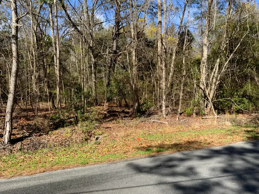 5037 Doctor Taylor Road, Adams Run, SC 29426 - Image #2