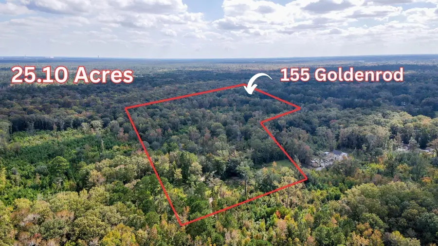 155 Goldenrod Lane, Moncks Corner, SC 29461 - #2