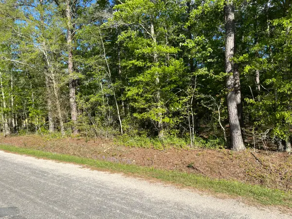 0 Sniders Highway, Walterboro, SC 29488