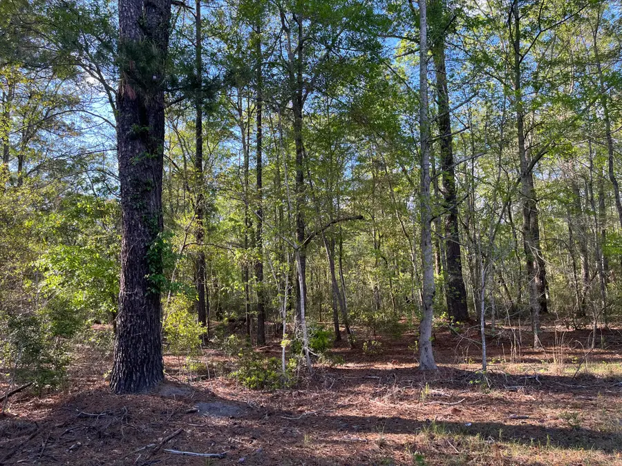 0 Rentz Drive, Walterboro, SC 29488 - #2