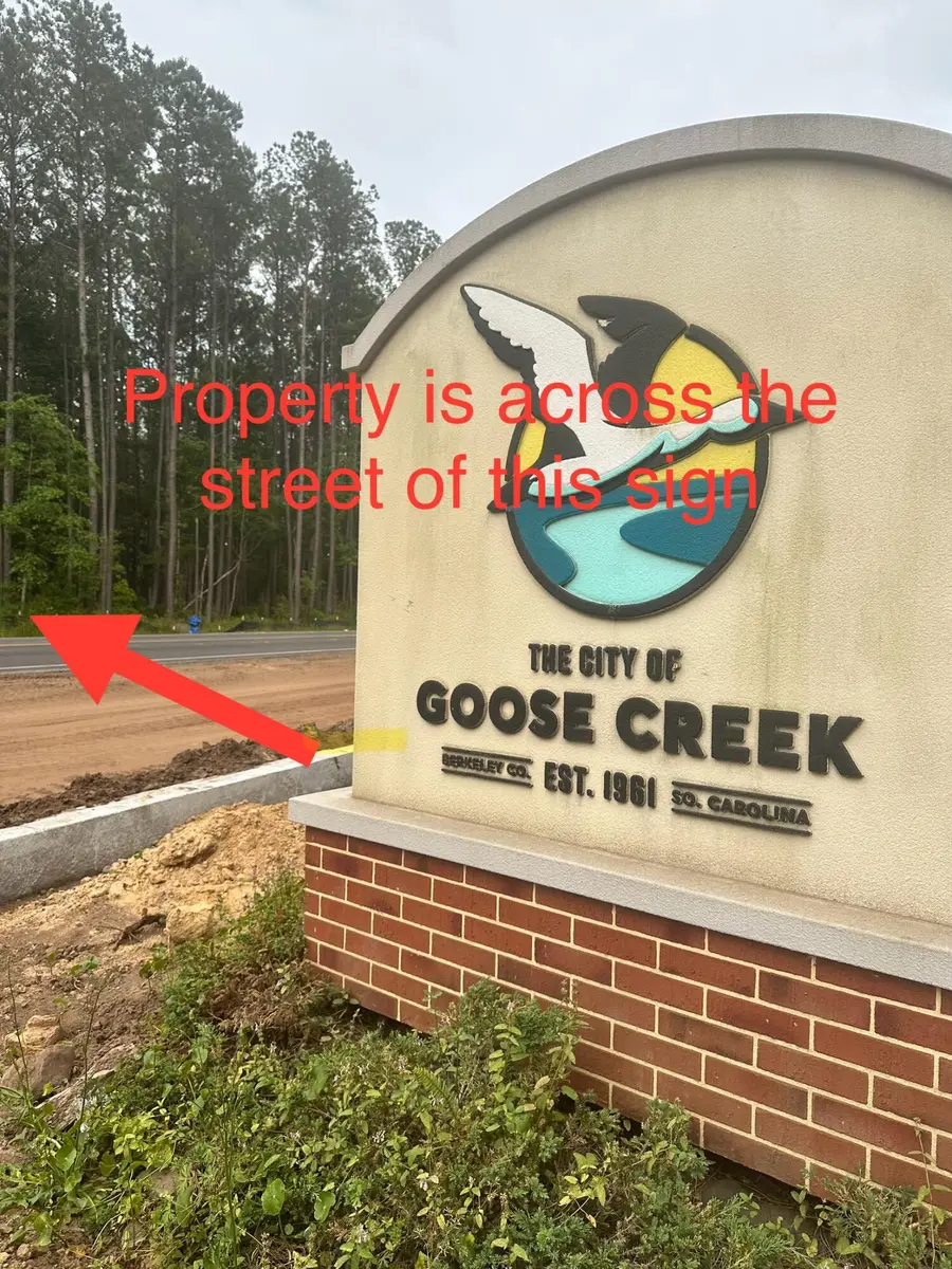 0 Highway 176, Moncks Corner, SC 29461 - #2
