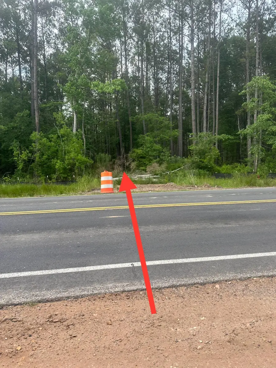 0 Highway 176, Moncks Corner, SC 29461 - #3