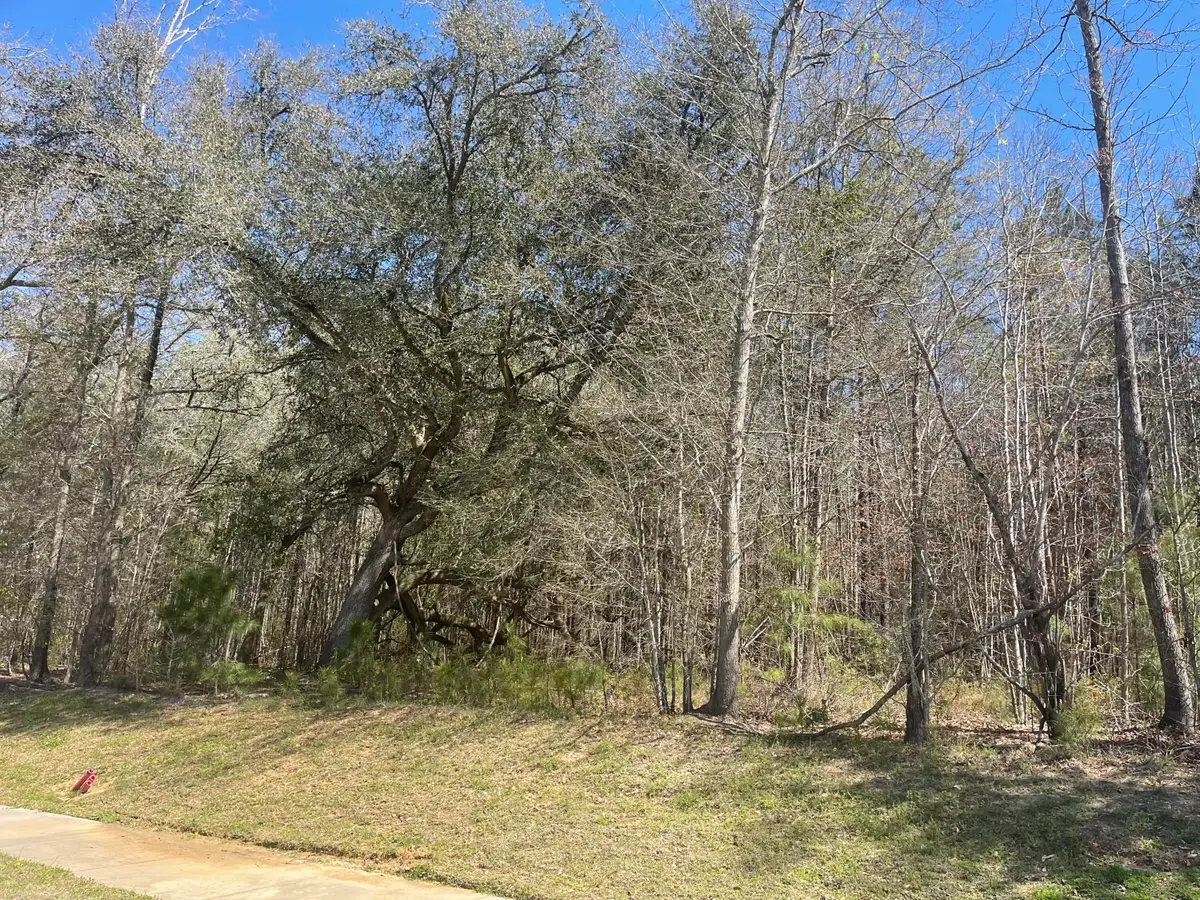 00 Hwy 52, Moncks Corner, SC 29461 - #1