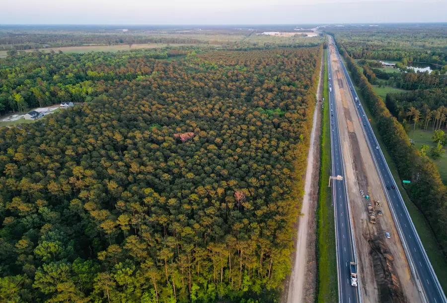 00 Fivel Lane, Ridgeville, SC 29472 - #2