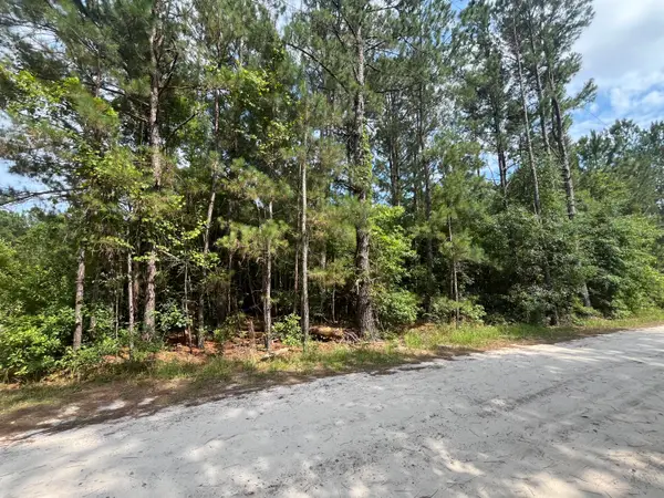 398 Pond Town Road, Hampton, SC 29924