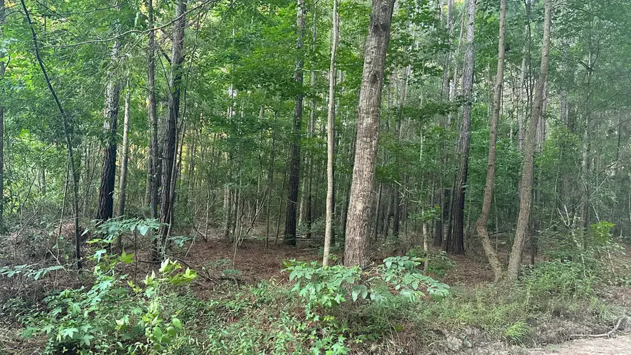 0 Pearl Acres Lane, Huger, SC 29450 - Image #3