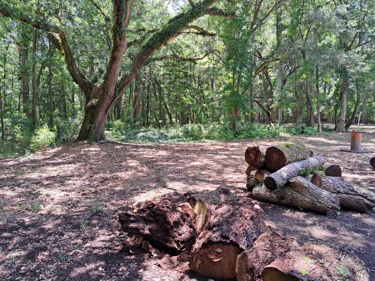 0 Rafael Lane, Charleston, SC 29412 - Image #1