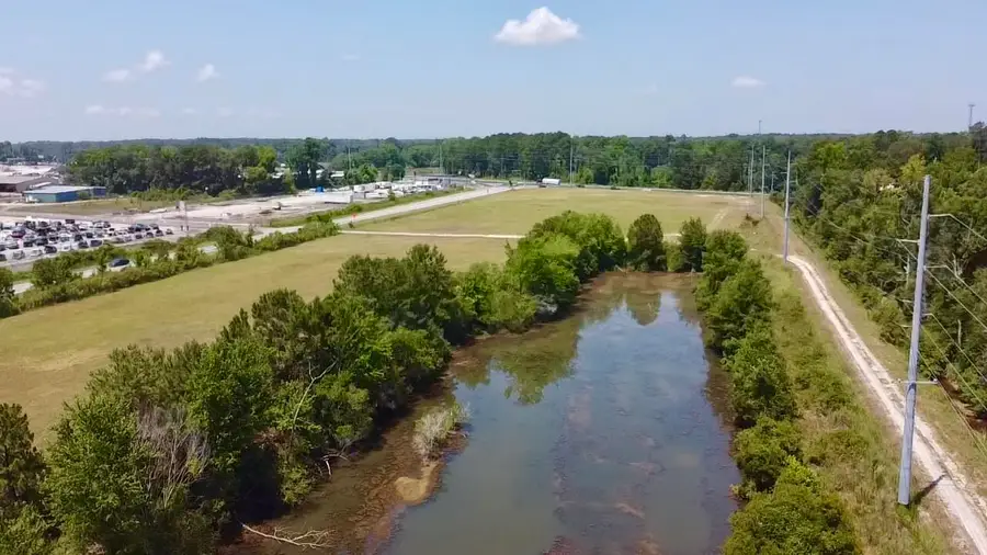 219 SW Cannon Bridge Road, Orangeburg, SC 29115 - #2