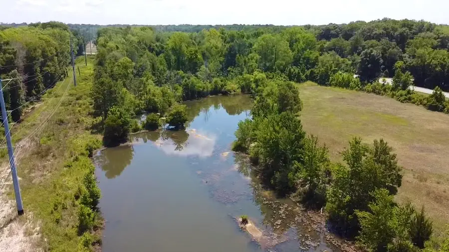 219 SW Cannon Bridge Road, Orangeburg, SC 29115 - #3