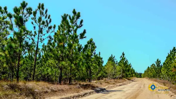 5659 Mt Pisgah Rd, Bethune, SC 29009