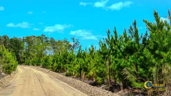 5659 Mt Pisgah Rd, Bethune, SC 29009